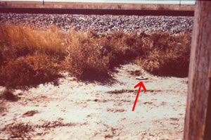 Photo of visible second well abandoned in 1954.