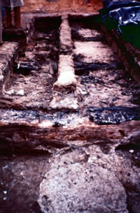 Photo of the discovery well and the archaeolgical pits.